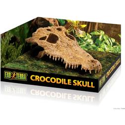 Exoterra Crocodile Skull Secure Hiding Place