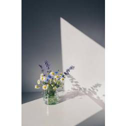 Venture Home Poster - Flowers - White Poster