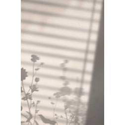 Venture Home Poster - Flower shadow Poster