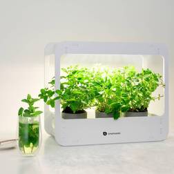 Smartwares Växtstation