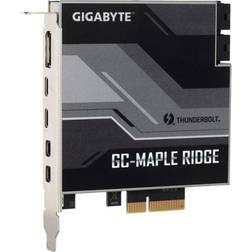 Gigabyte GC-MAPLE RIDGE, PCIe, DisplayPort, Mini