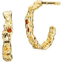 Sistie x Silke Earrings - Gold/Orange