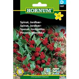 Hornum Spinat, Jordbær- D 1327