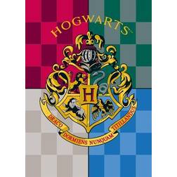 Harry Potter Hogwarts logotyp Filt