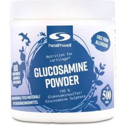 Healthwell Glucosamine Powder 500g