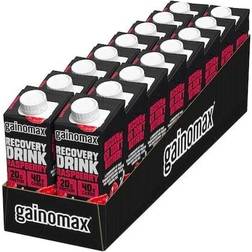 Gainomax Recovery Drink Raspberry 250ml 16 st