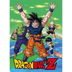 SD Toys karaktärer på namn DBZ fleece-filt Dragon Ball färg (SDTDRB22105)