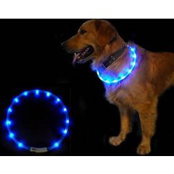LED-halsband hund blå