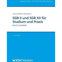 SGB II und SGB XII für Studium und Praxis (Bd. 2/3) Band 2: Sozialhilfe
