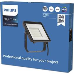 Philips ProjectLine Floodlight spot 3000K 30W