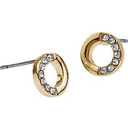 Snö of Sweden Colline Ear Gold/Clear Gold/Clear