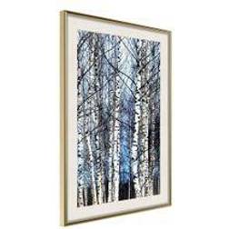 Artgeist Poster Winter Birch Trees 20x30 Tavla