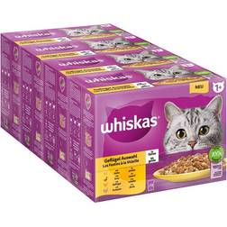 Whiskas 36 + 12 på köpet! Megapack portionspåse 1+ Adult: