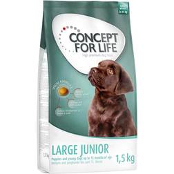Concept for Life Large Junior 4