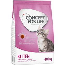 Concept for Life Kitten förbättrad