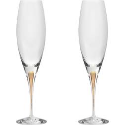 Orrefors Intermezzo Champagneglas 26cl 2st