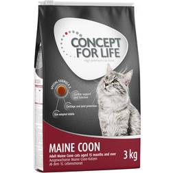 Concept for Life Maine Coon förbättrad