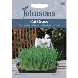Johnson's Kattgräs