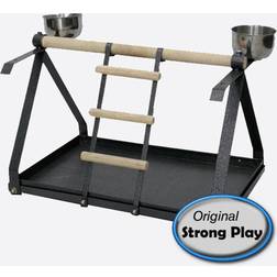 Strong Parrot Playground Livia Silverstone 93013