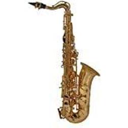 Roy Benson Barn Eb-Gammal saxofon MOD.AS-201 lackerad, inklusive lätt rektangulärt fodral