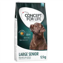 Concept for Life Large Senior - 2