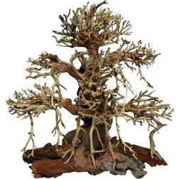 ELDORADO Tree roots Old Bonsai 30x15x30