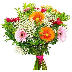 Blommor till begravning & kondoleanser Joyful Blandade blommor
