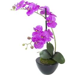 Europalms Orchid Arrangement 4 Konstgjord växt
