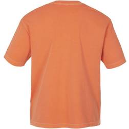 Gant Herr Sunfaded USA T-shirt