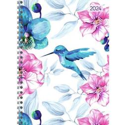 Alpha Ladytimer Ringbuch Hummingbird 2024 Taschen-Kalender A5