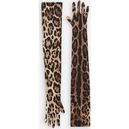 Dolce & Gabbana Long leopard-print stretch satin gloves