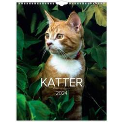 Burde Väggkalender 2024 Stora Kattkalendern