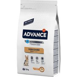Affinity Advance Yorkshire Terrier Adult
