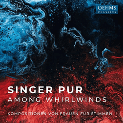 Singer Pur: Among Whirlwinds SINGER PUR CD