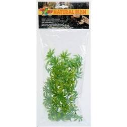 Zoo Med Cannabis Reptile Plant, Small