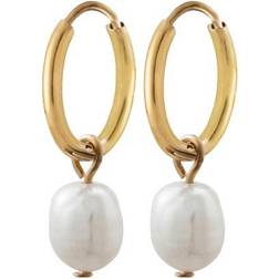 Edblad Perla Hoops - Gold/Pearls
