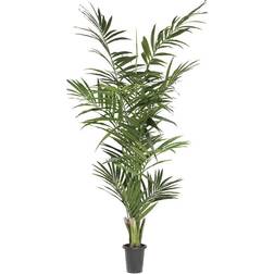 Newport Kentia Palm Green Konstgjord växt