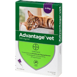 Bayer Advantage Vet Cats 100mg/ml 4x0.8ml