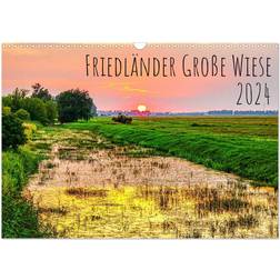 Calvendo 2024 Friedländer Great Meadow Wall Calendar A3