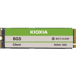 Kioxia BG5 Series KBG50ZNV1T02 1TB