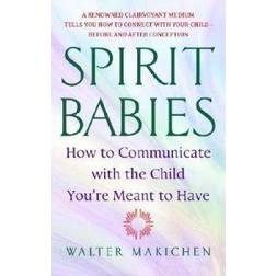 Spirit Babies: How to Communicate with the Child You're Meant to Have (Häftad, 2005)