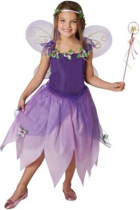 Bild på Rubies Plum Pixie Childrens Costume