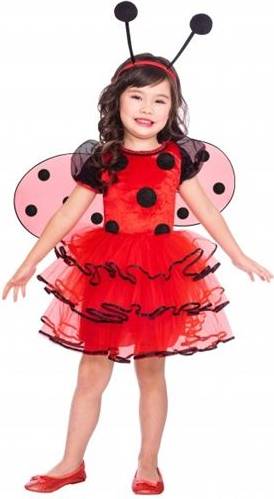 Bild på Amscan Ladybird Costume