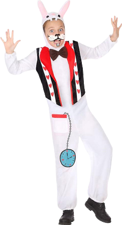 Bild på Th3 Party Kanin Kostym för Barn