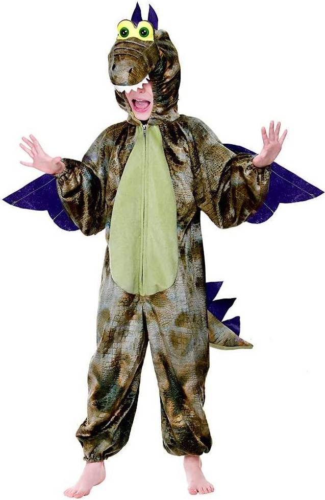 Bild på Wicked Costumes Dinosaur Kid's Costume