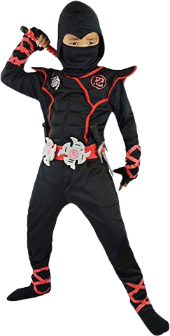 Bild på SupFire Ninja Muscle Warrior Costume