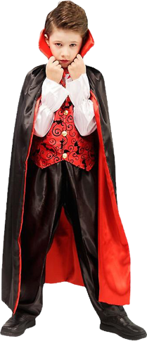 Bild på SupFire Vampire Costume