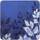 Denby Colours Blue Foliage Glasunderlägg 6st