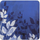 Denby Colours Blue Foliage Glasunderlägg 6st