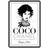 Coco Chanel: The Illustrated World of a Fashion Icon (Inbunden, 2015)